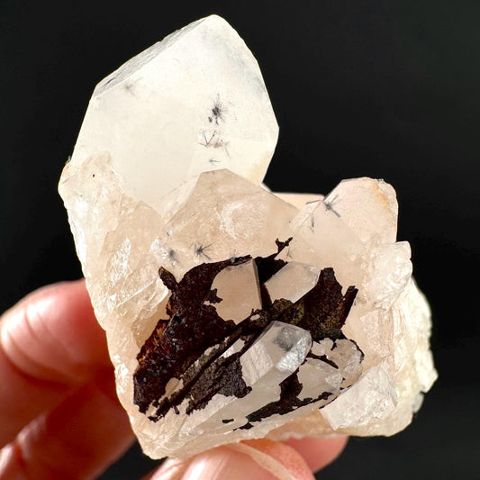 Hollandite Star Quartz | natural spider quartz crystal from Madagascar