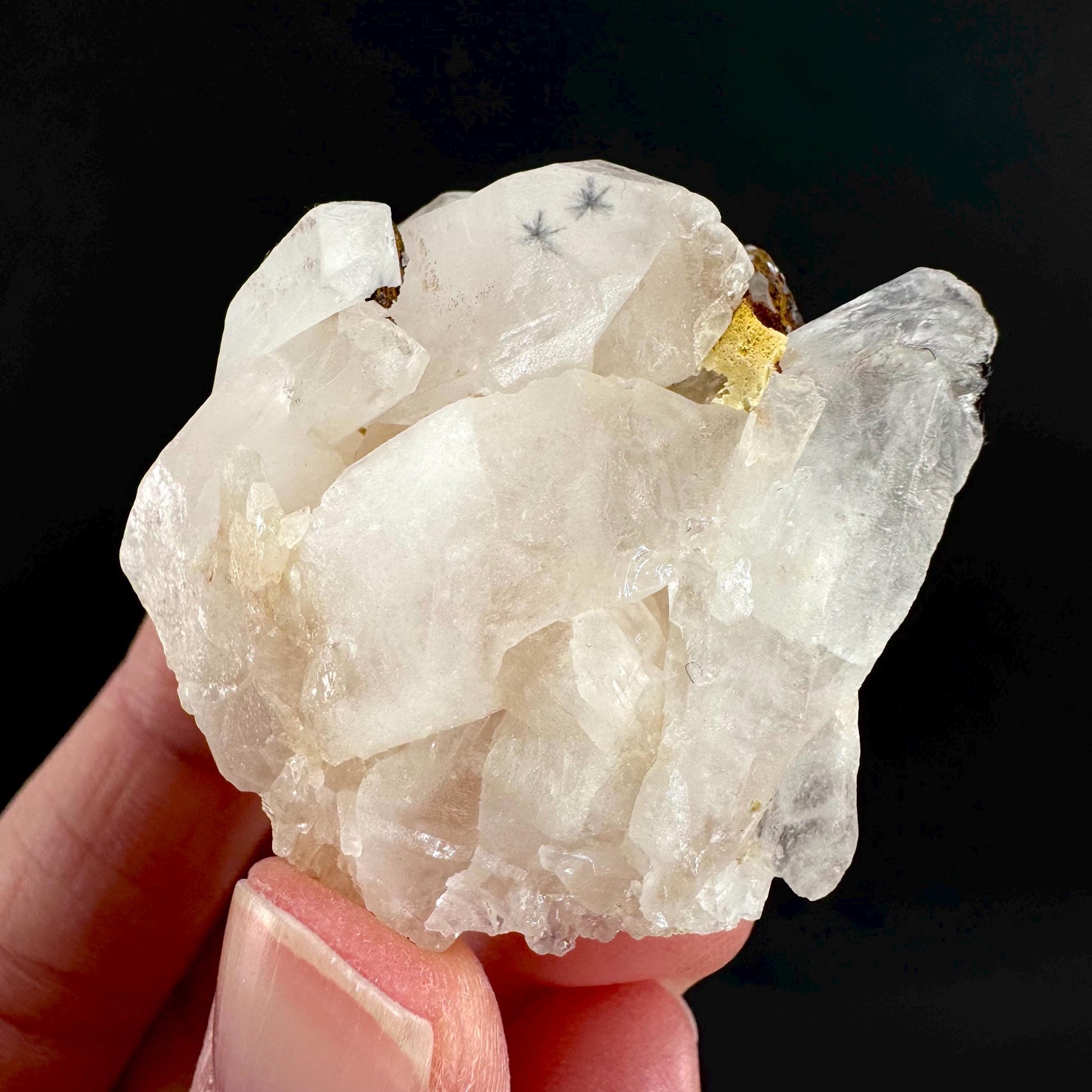 Hollandite Star Quartz | natural spider quartz crystal from Madagascar