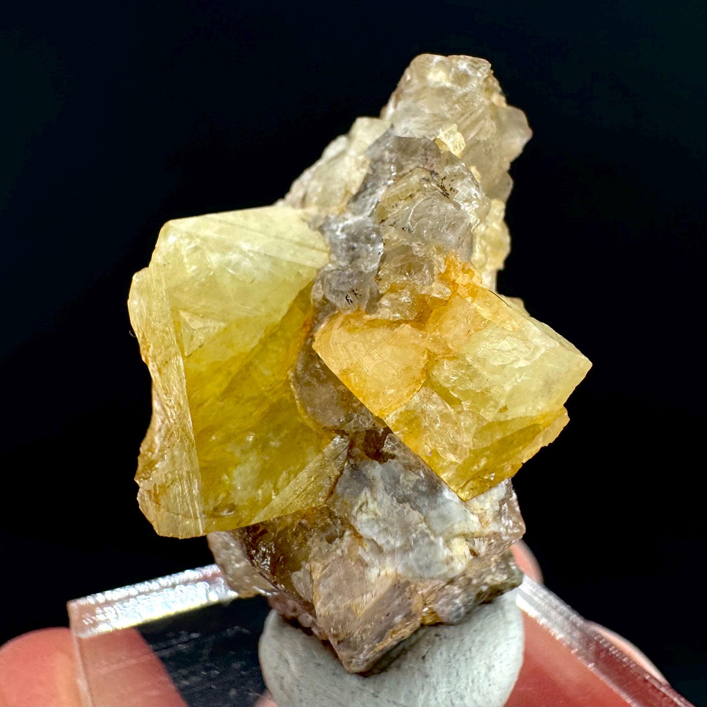 Londonite with Liddicoatite | yellow & pink crystal, rare mineral specimen from Madagascar
