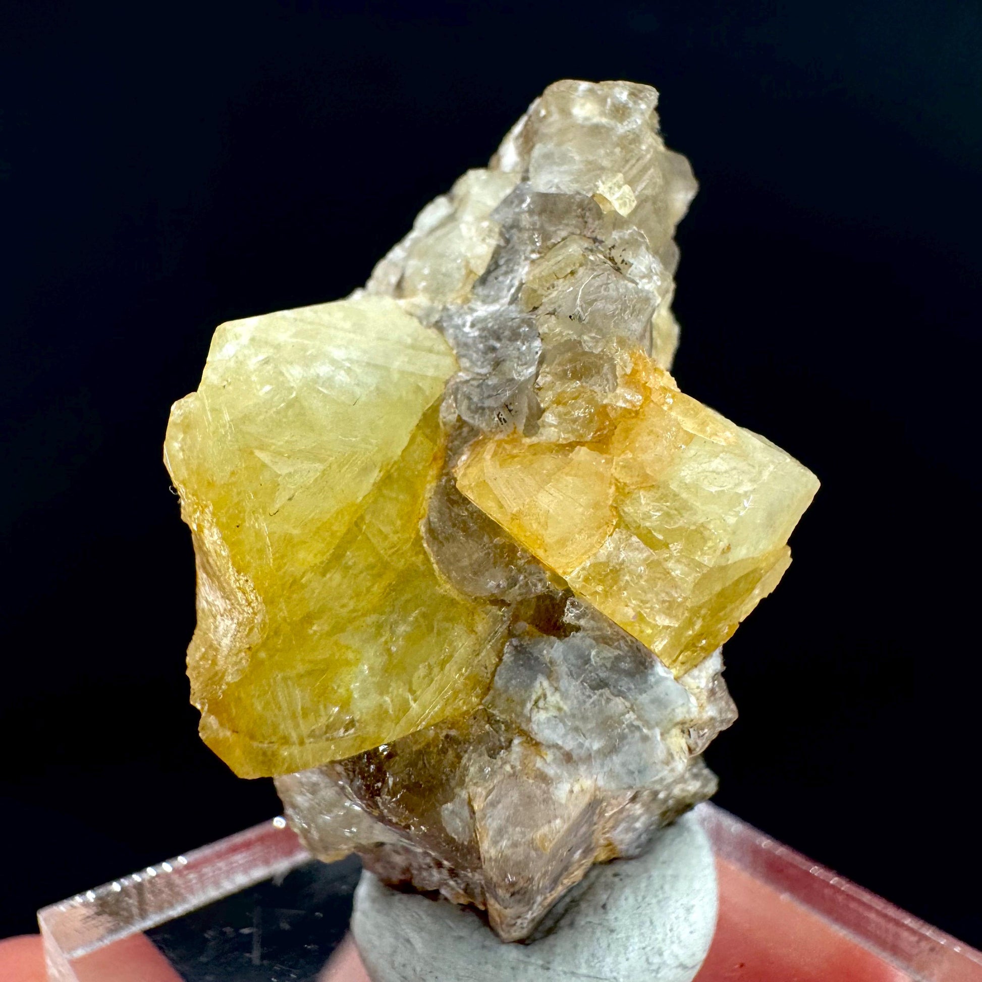 Londonite with Liddicoatite | yellow & pink crystal, rare mineral specimen from Madagascar