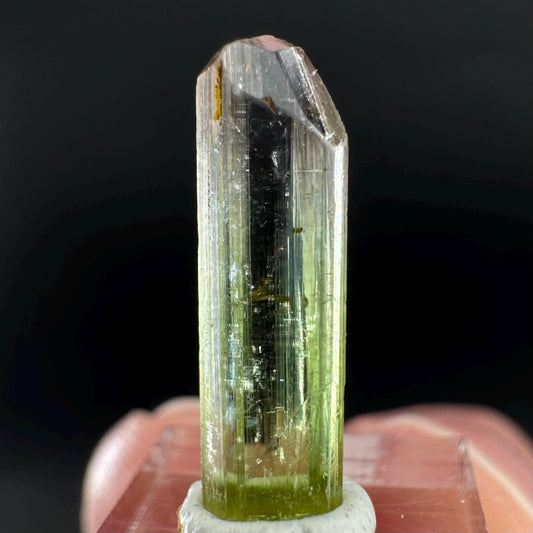Watermelon Tourmaline | Green & Pink Bi-Color Elbaite Crystal, mineral specimen from Paprok