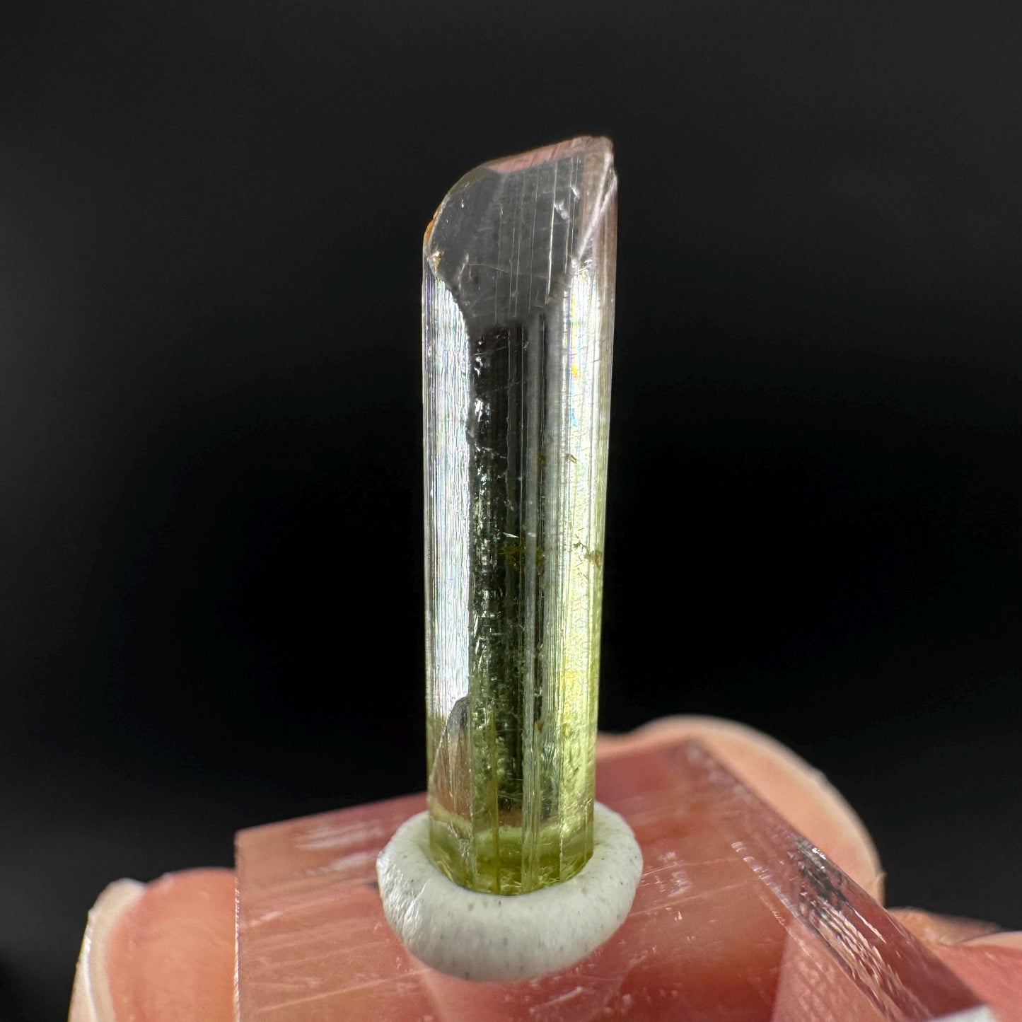 Watermelon Tourmaline | Green & Pink Bi-Color Elbaite Crystal, mineral specimen from Paprok