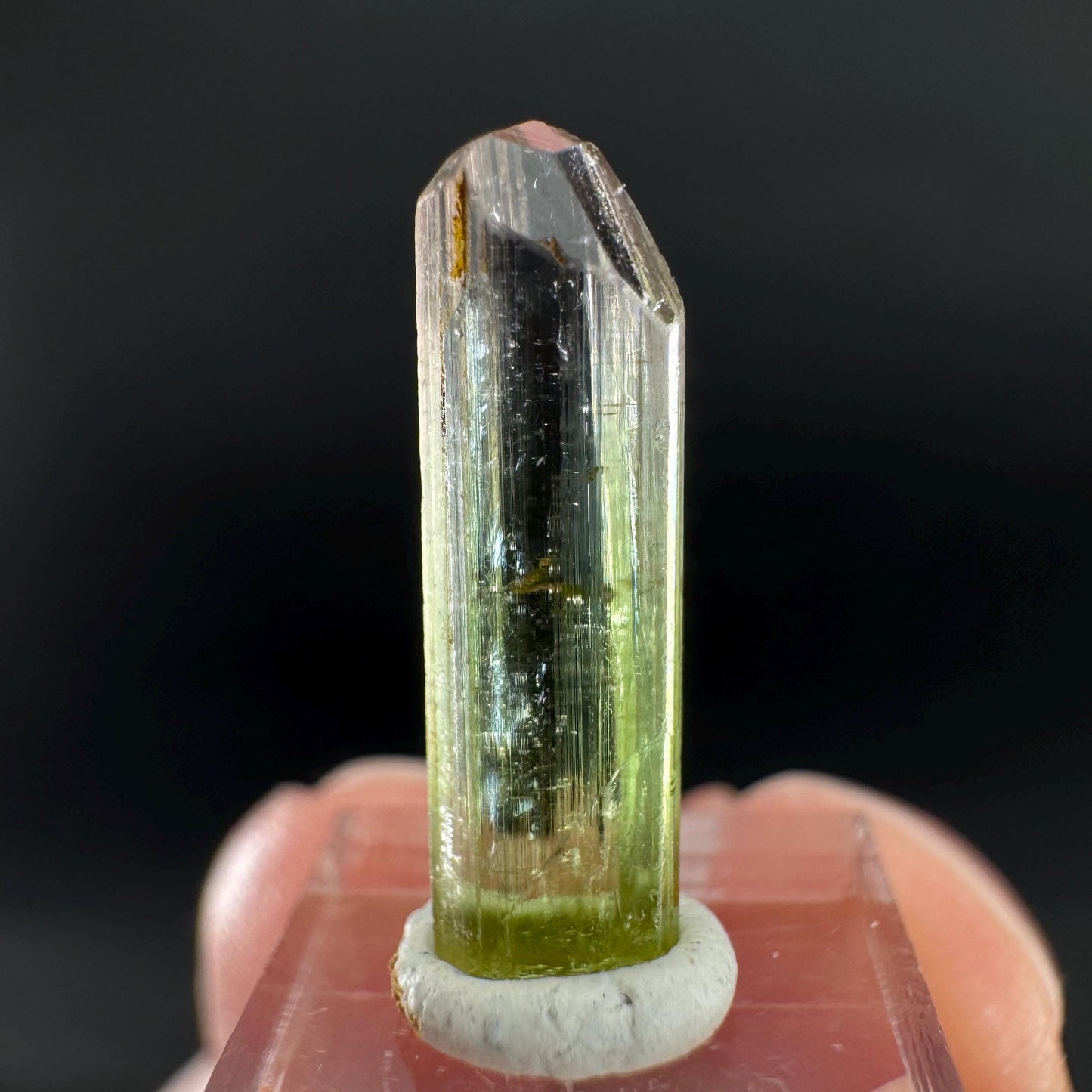 Watermelon Tourmaline | Green & Pink Bi-Color Elbaite Crystal, mineral specimen from Paprok