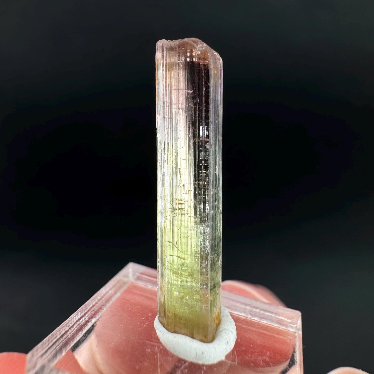 Watermelon Tourmaline | Green & Pink Bi-Color Elbaite Crystal, mineral specimen from Paprok