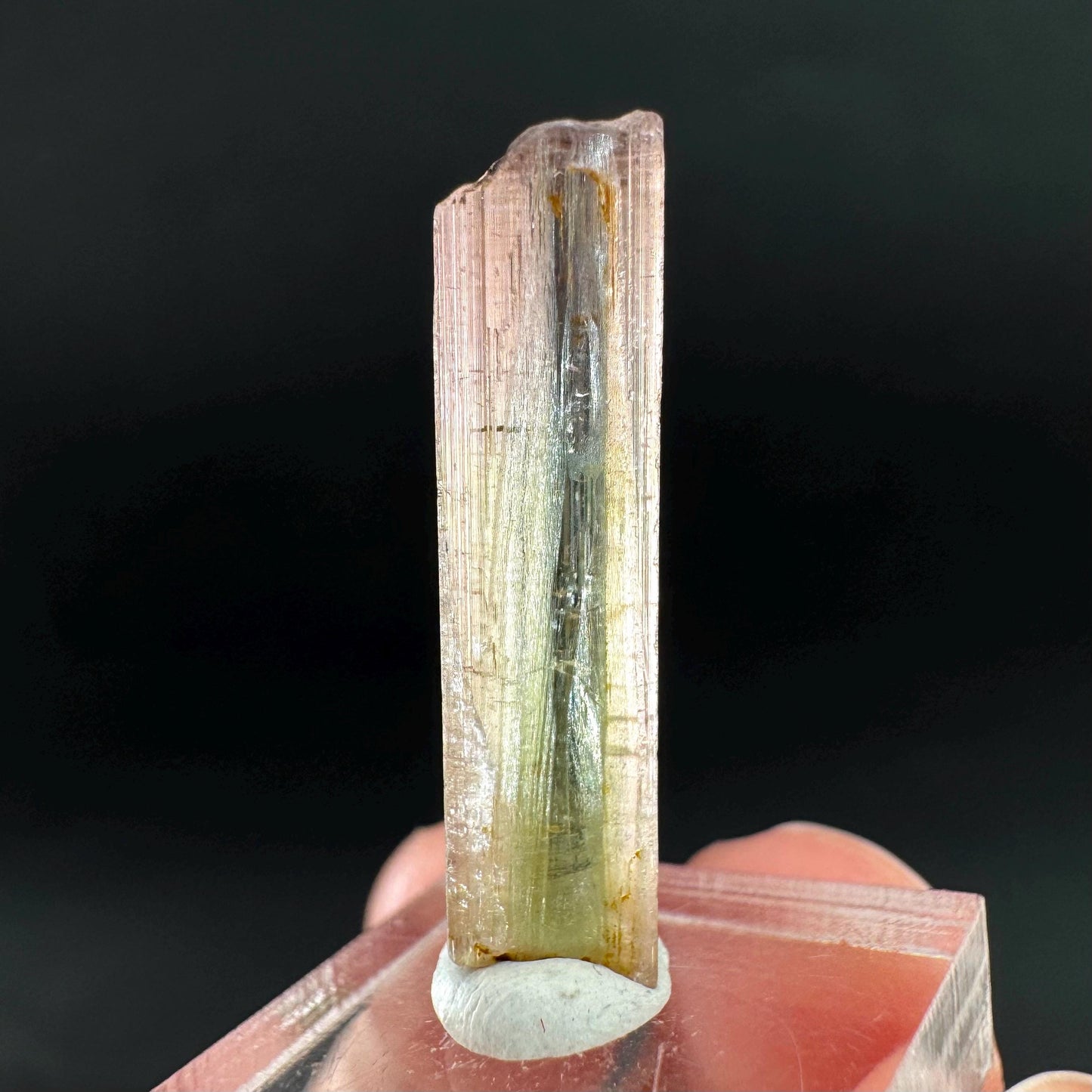 Watermelon Tourmaline | Green & Pink Bi-Color Elbaite Crystal, mineral specimen from Paprok