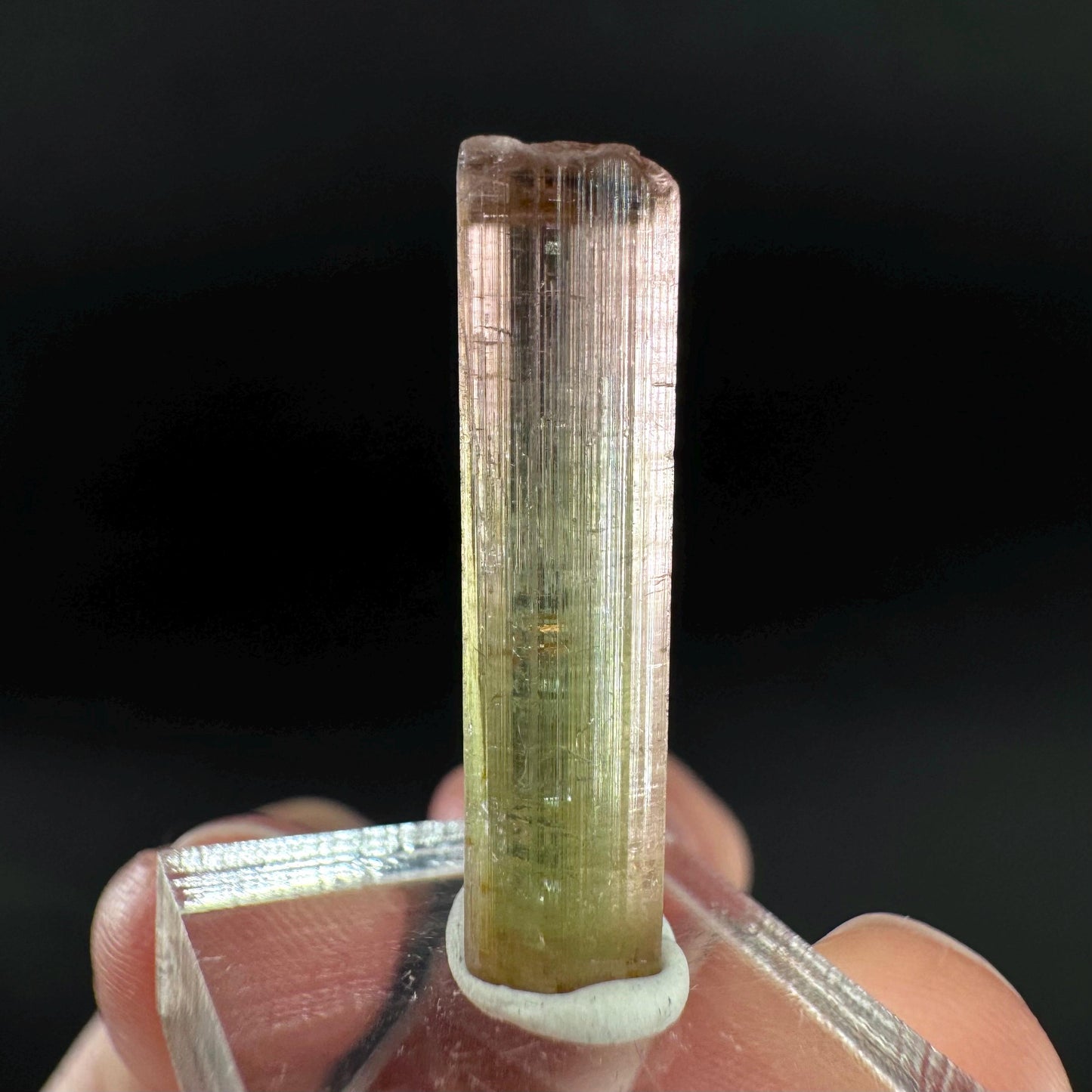 Watermelon Tourmaline | Green & Pink Bi-Color Elbaite Crystal, mineral specimen from Paprok