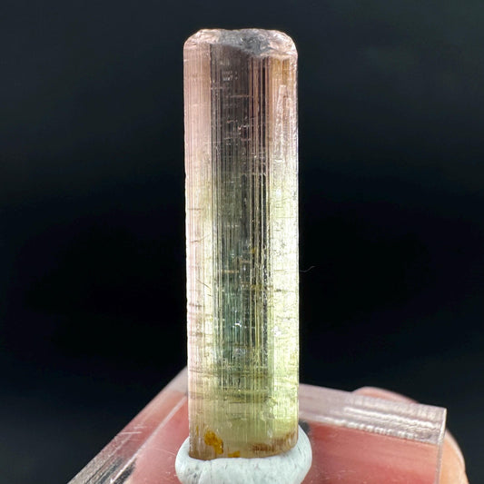 Watermelon Tourmaline | Green & Pink Bi-Color Elbaite Crystal, mineral specimen from Paprok