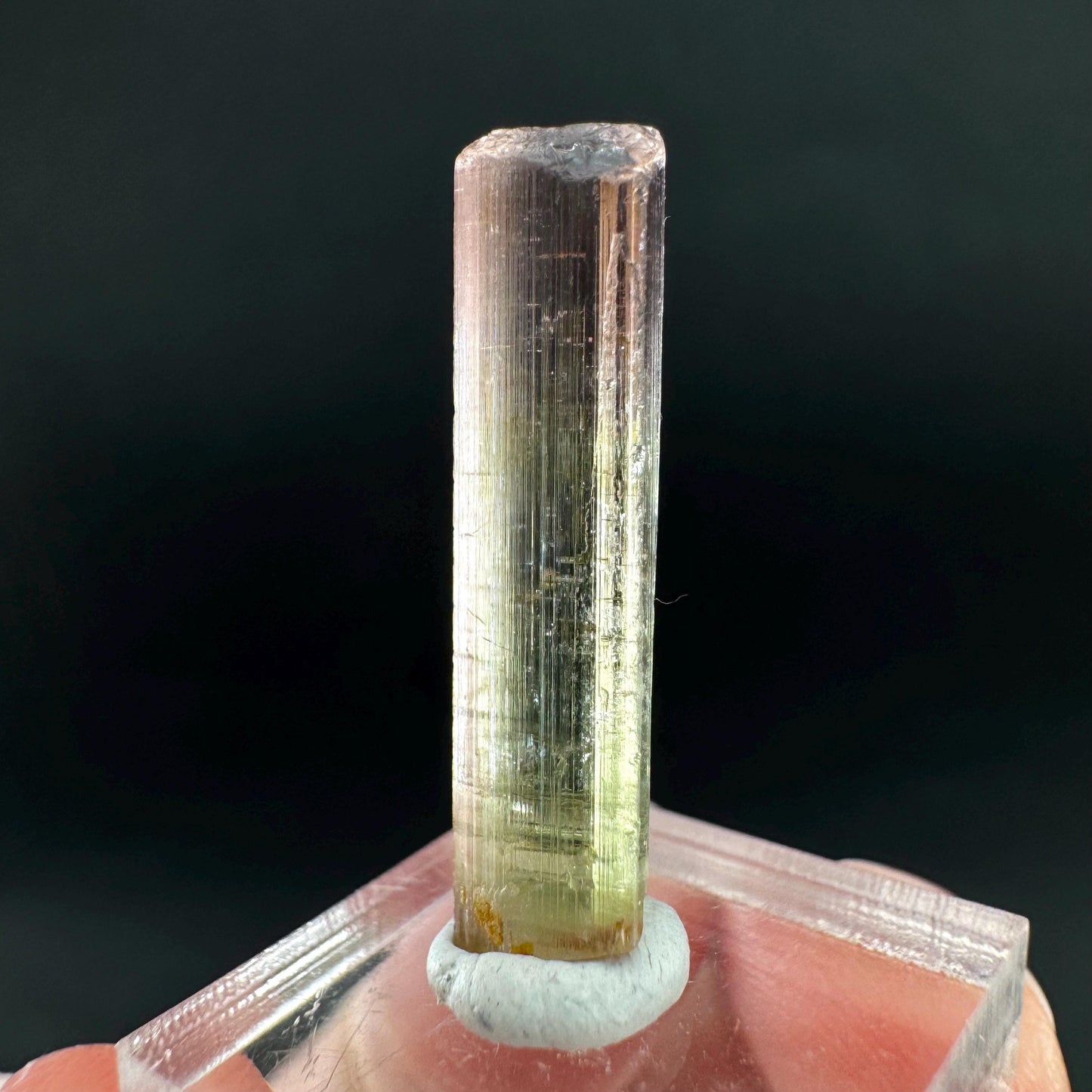 Watermelon Tourmaline | Green & Pink Bi-Color Elbaite Crystal, mineral specimen from Paprok
