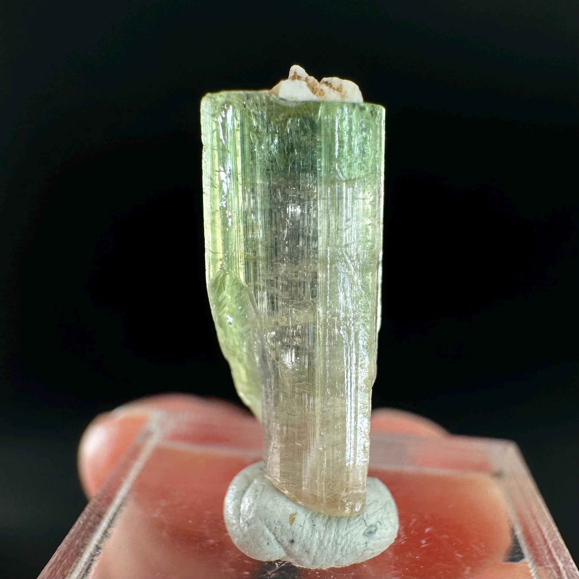Watermelon Tourmaline | Green & Pink Bi-Color Elbaite Crystal, mineral specimen from Paprok