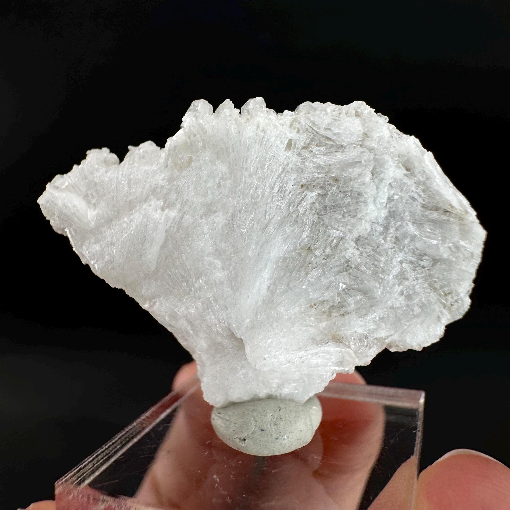 Herderite on Albite Matrix | light green crystal, rare mineral specimen from Pakistan