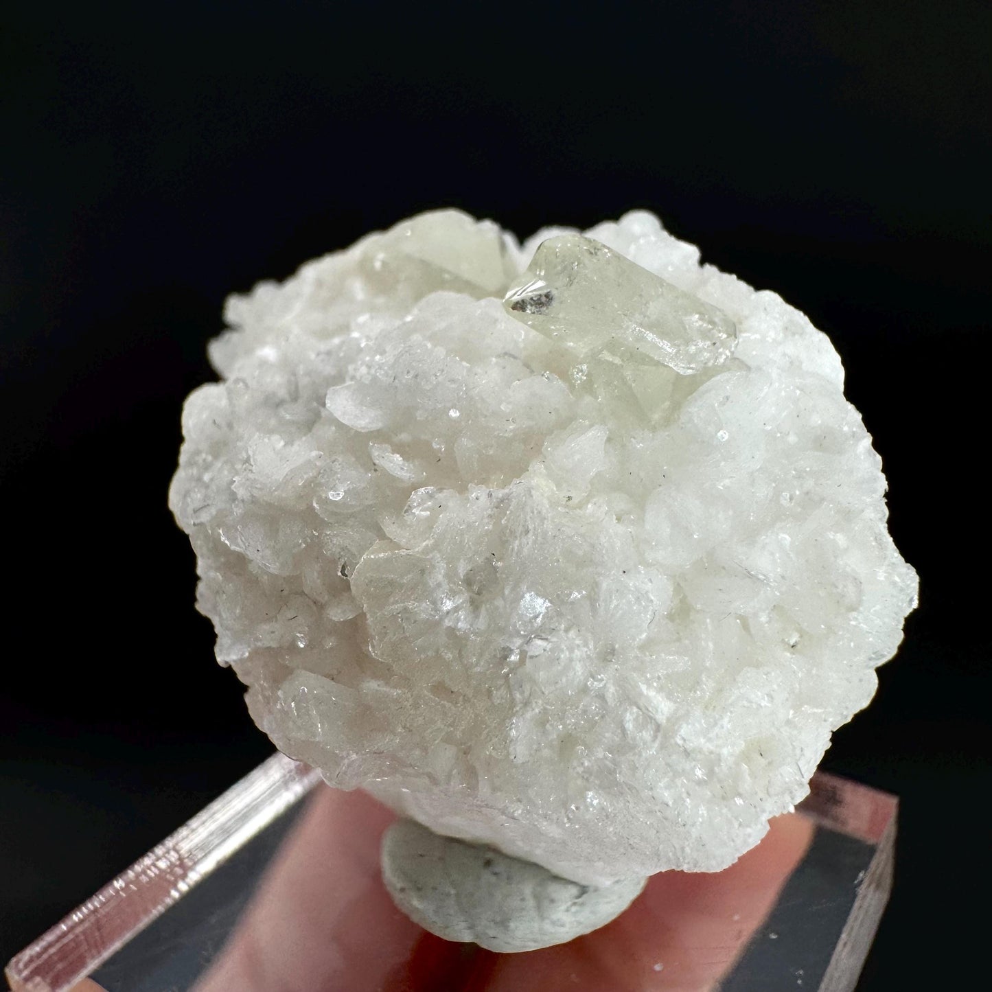 Herderite on Albite Matrix | light green crystal, rare mineral specimen from Pakistan