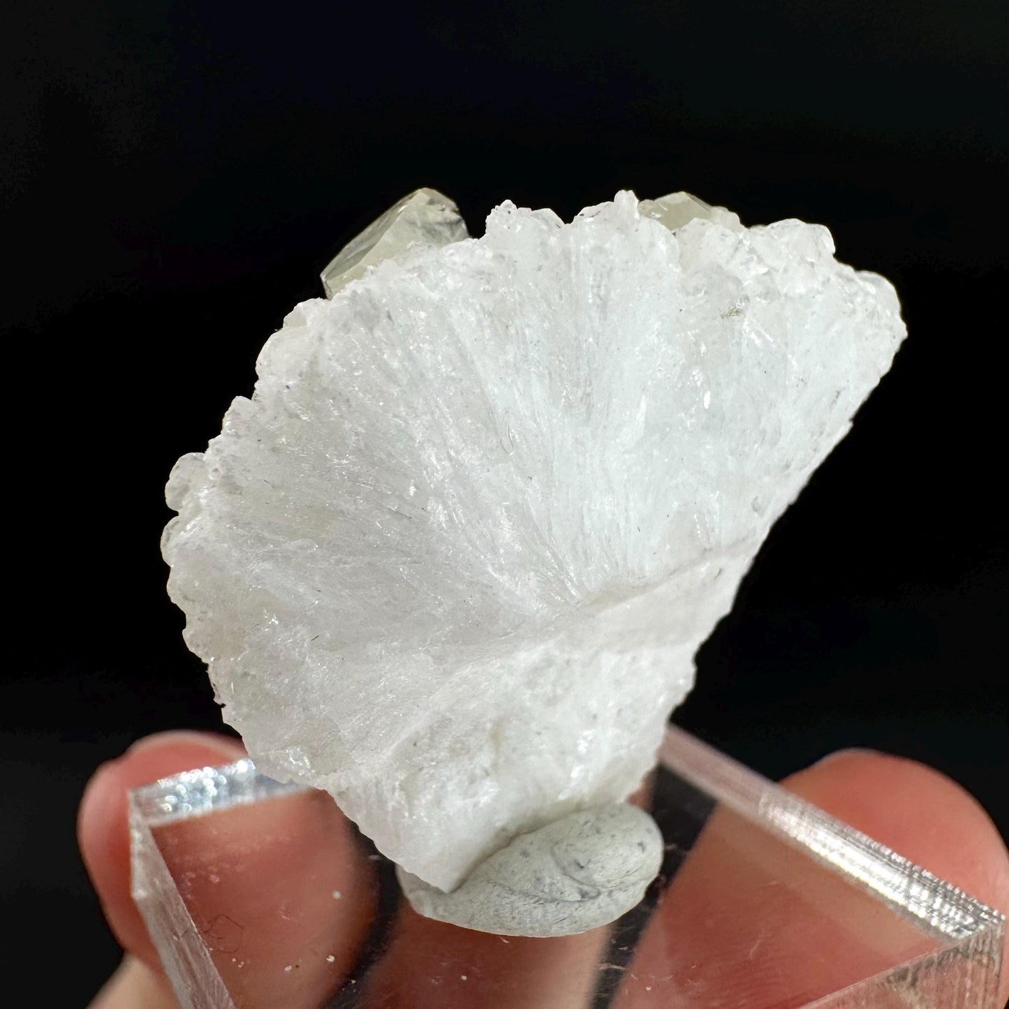 Herderite on Albite Matrix | light green crystal, rare mineral specimen from Pakistan