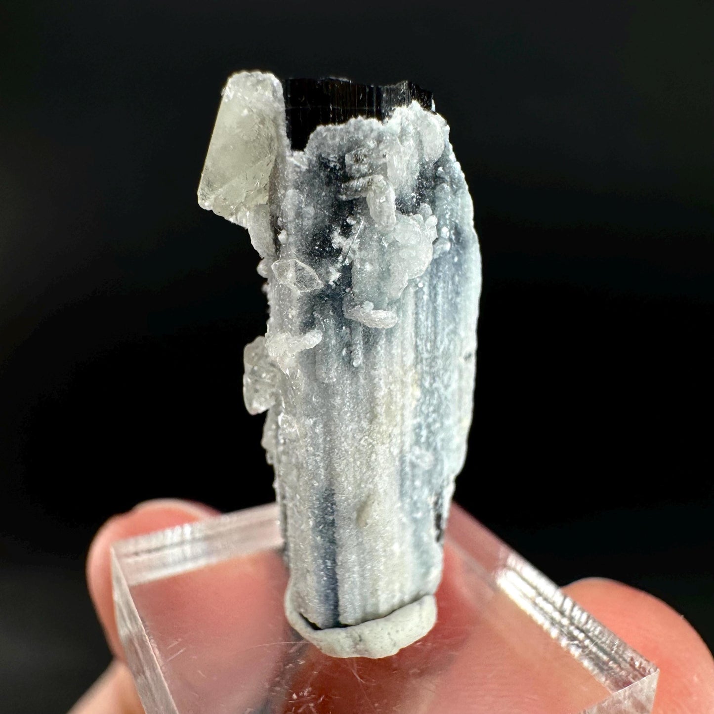 Herderite on Black Tourmaline | light green crystal, rare mineral specimen from Pakistan