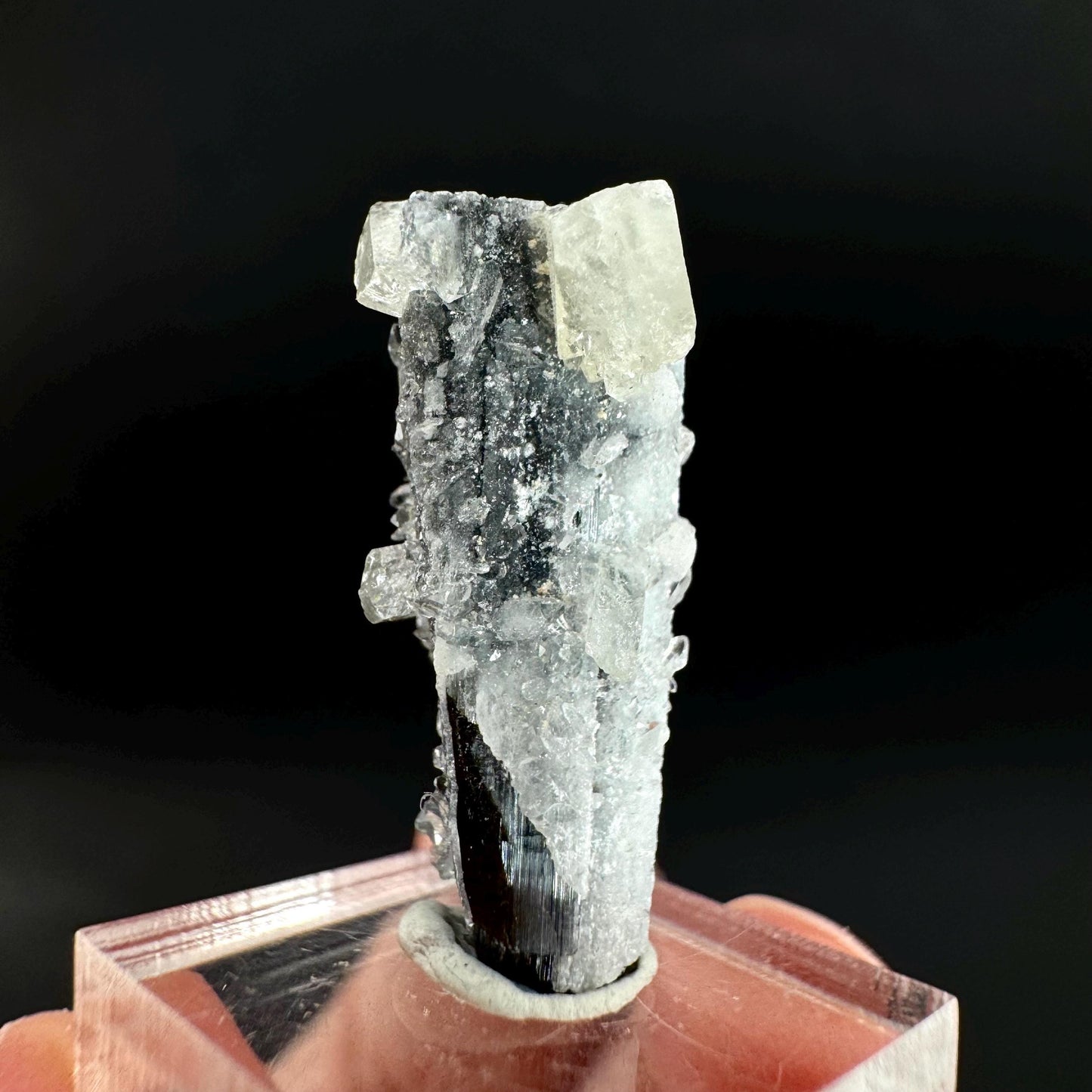 Herderite on Black Tourmaline | light green crystal, rare mineral specimen from Pakistan