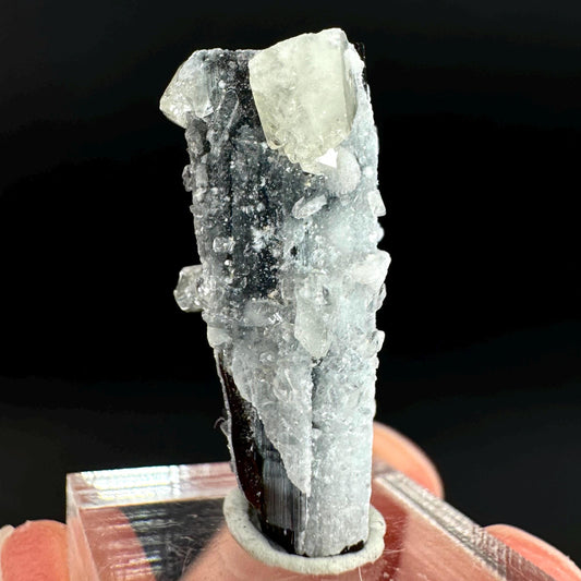 Herderite on Black Tourmaline | light green crystal, rare mineral specimen from Pakistan