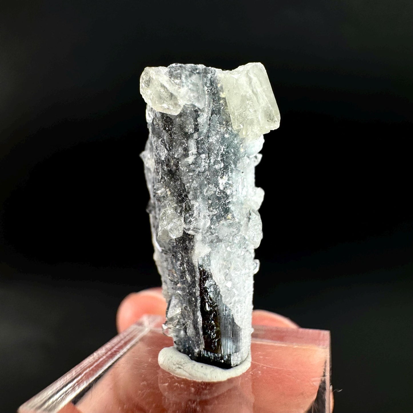 Herderite on Black Tourmaline | light green crystal, rare mineral specimen from Pakistan