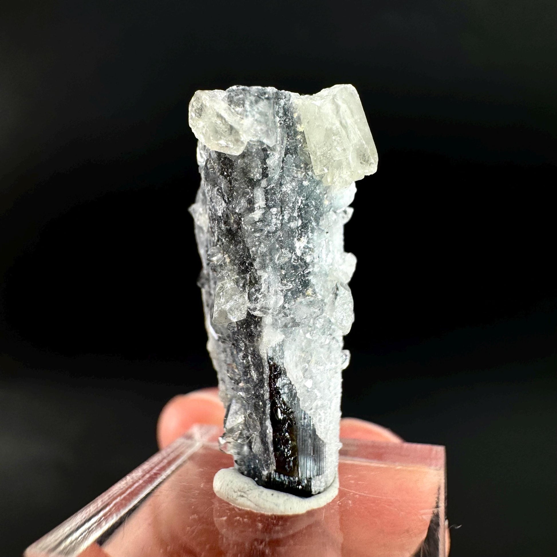 Herderite on Black Tourmaline | light green crystal, rare mineral specimen from Pakistan