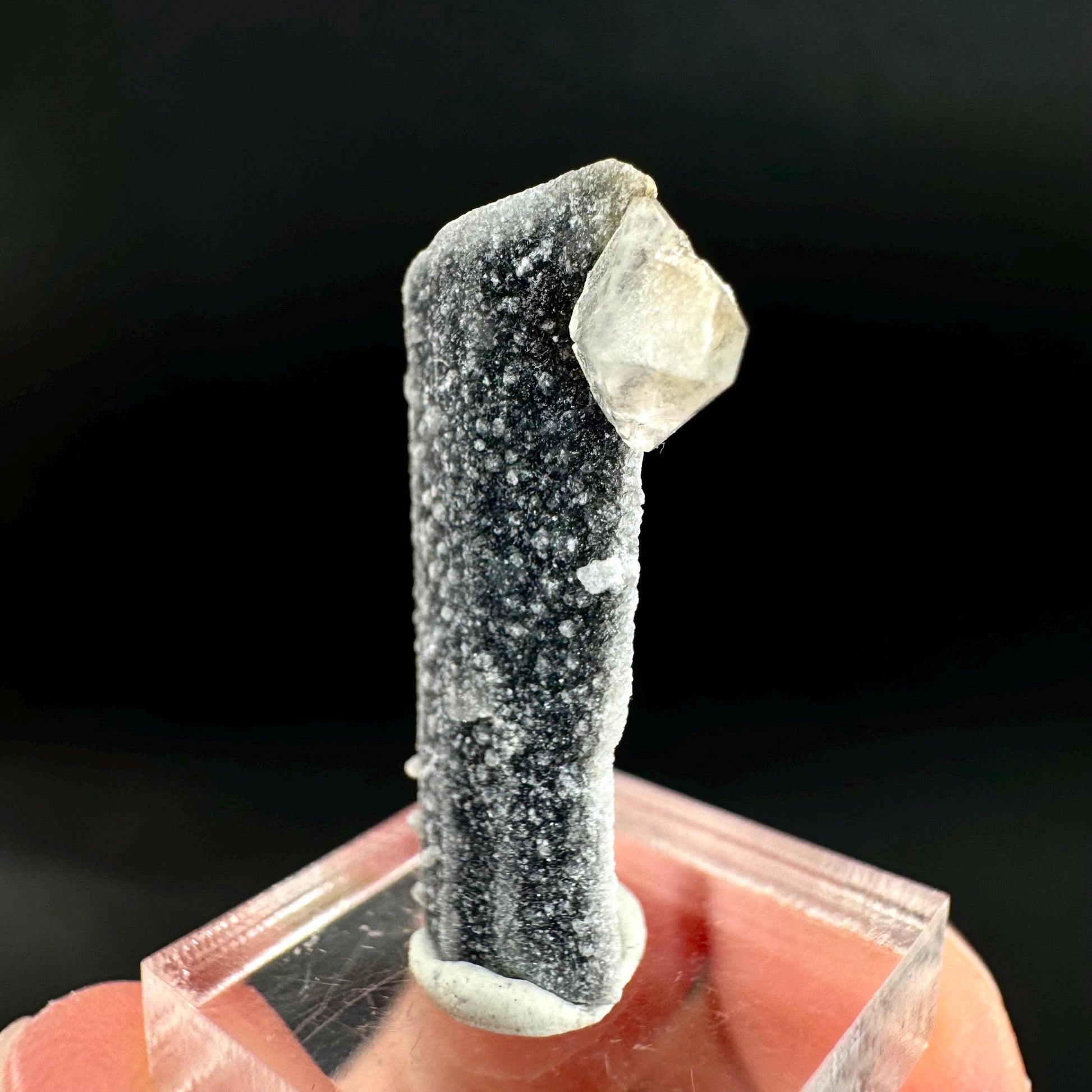 Herderite on Black Tourmaline | light green crystal, rare mineral specimen from Pakistan