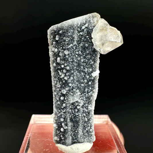 Herderite on Black Tourmaline | light green crystal, rare mineral specimen from Pakistan