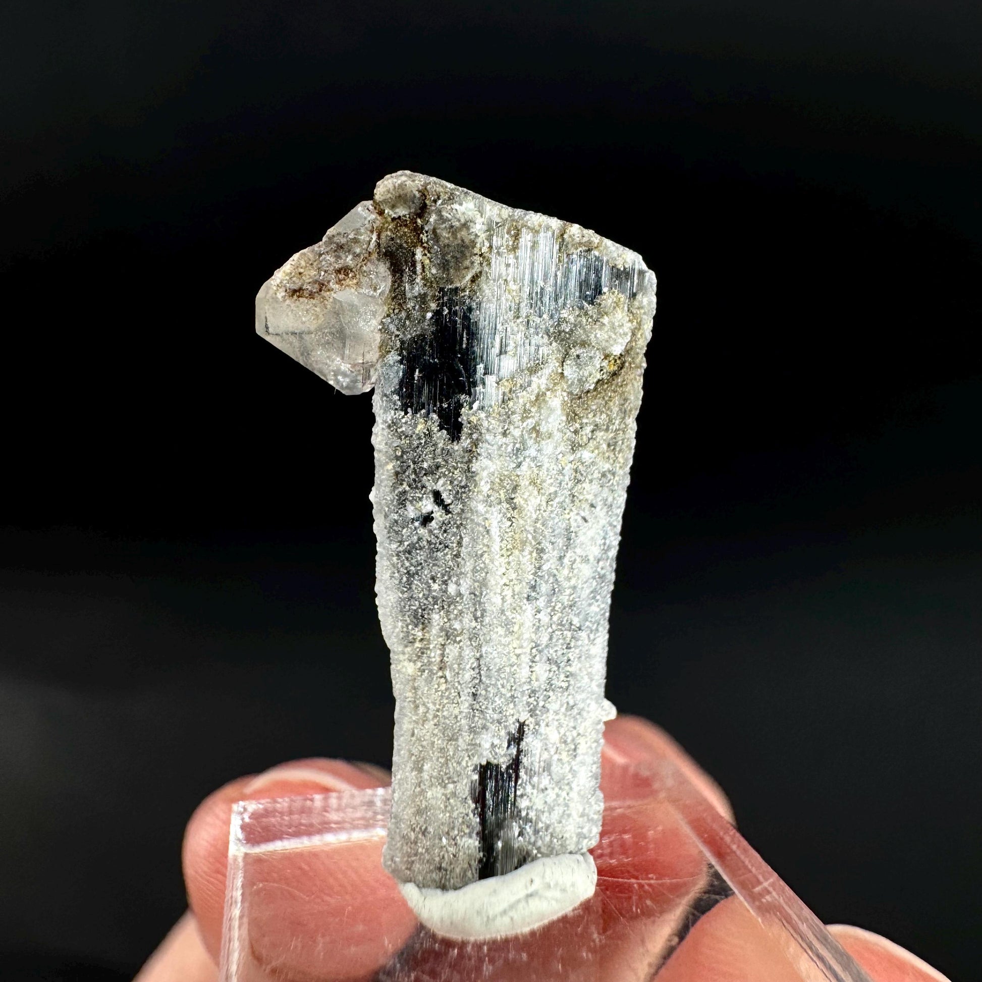 Herderite on Black Tourmaline | light green crystal, rare mineral specimen from Pakistan