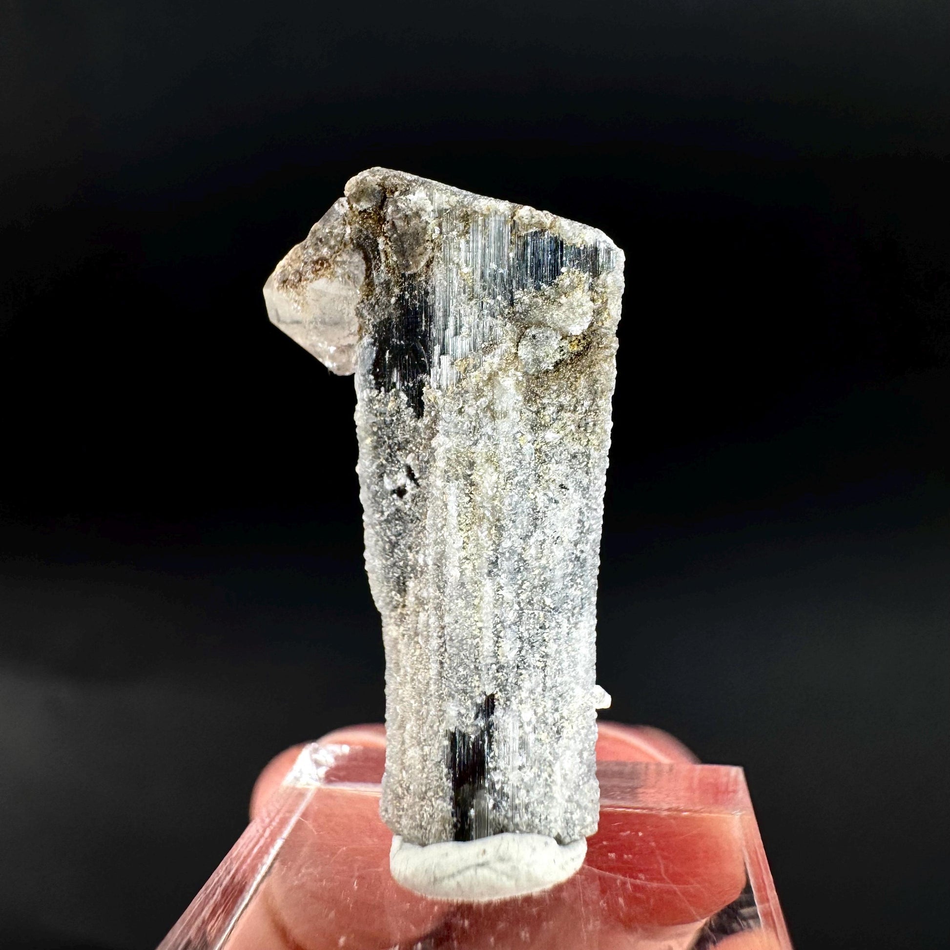 Herderite on Black Tourmaline | light green crystal, rare mineral specimen from Pakistan