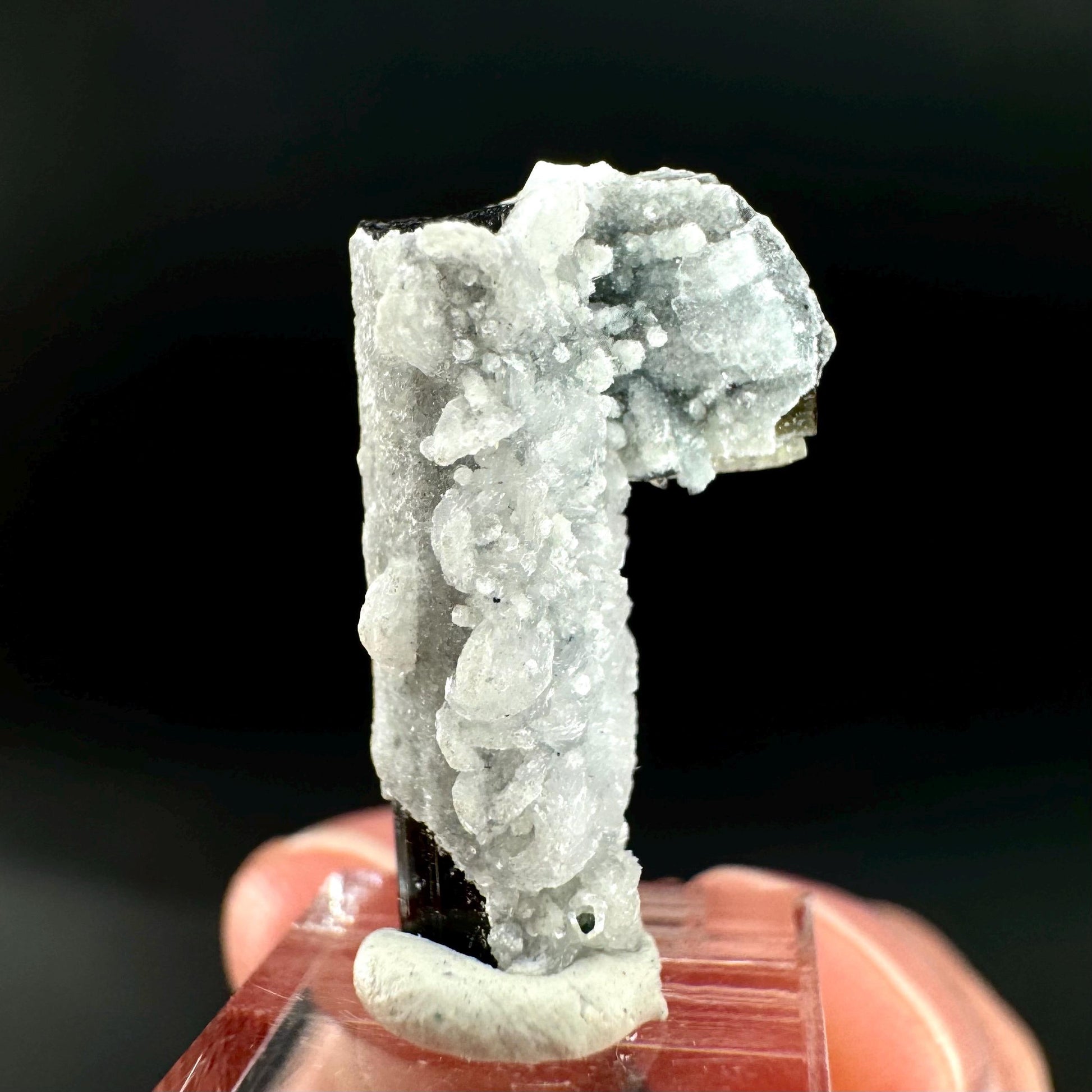 Herderite on Black Tourmaline | light green crystal, rare mineral specimen from Pakistan