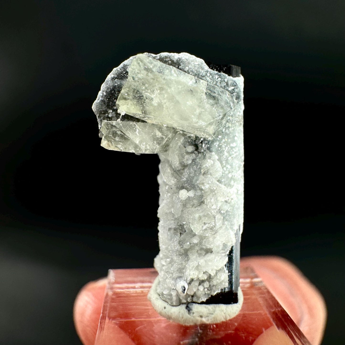 Herderite on Black Tourmaline | light green crystal, rare mineral specimen from Pakistan