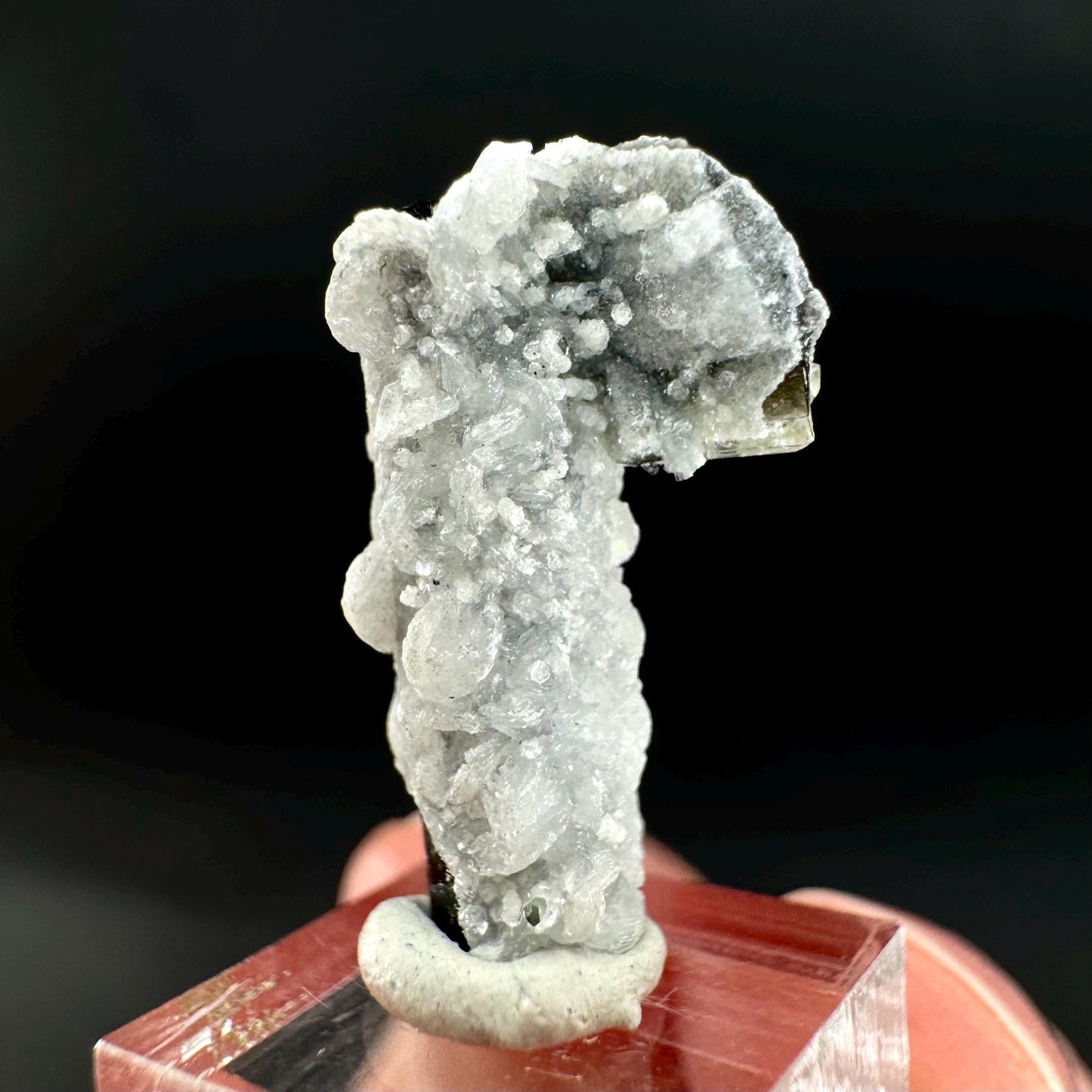 Herderite on Black Tourmaline | light green crystal, rare mineral specimen from Pakistan