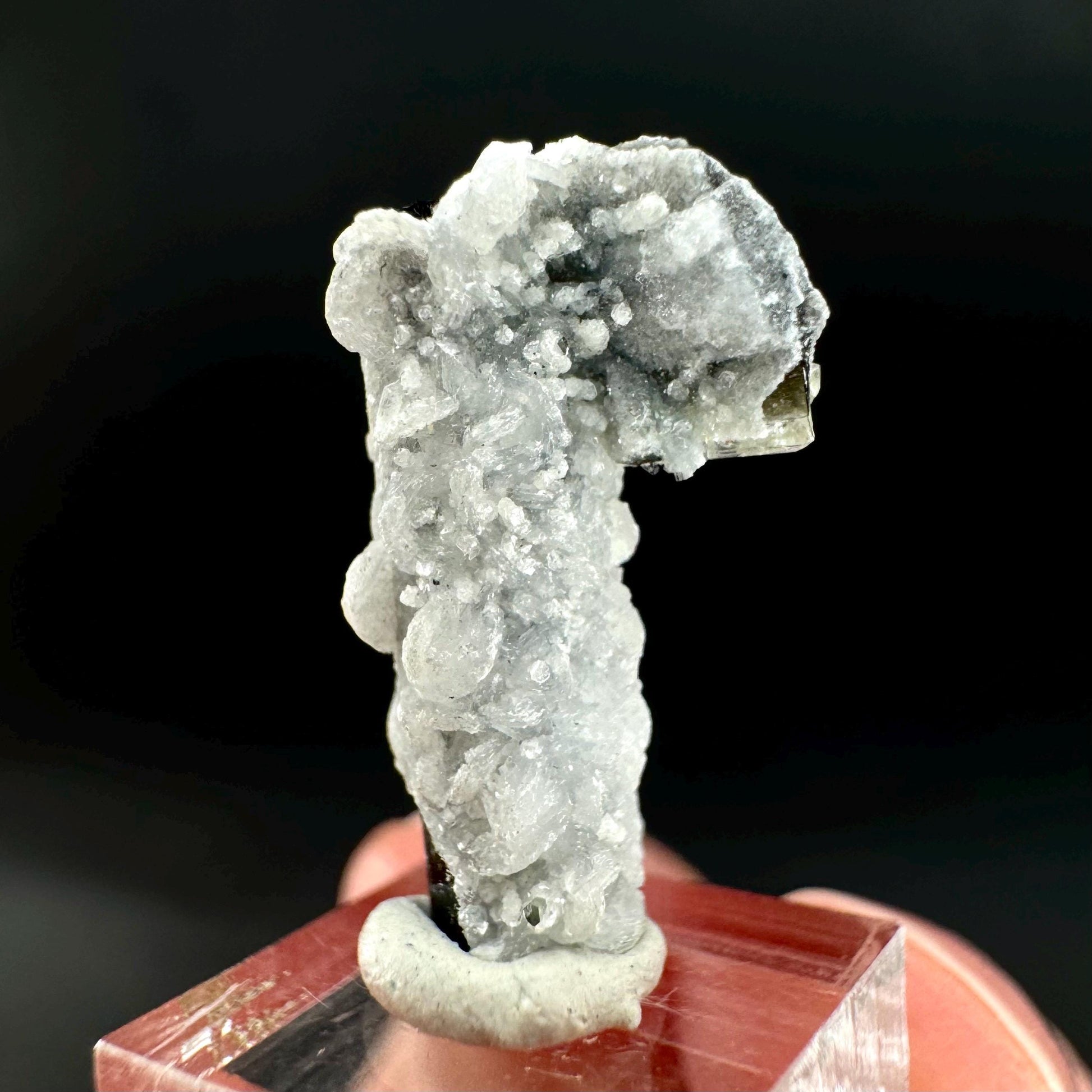 Herderite on Black Tourmaline | light green crystal, rare mineral specimen from Pakistan
