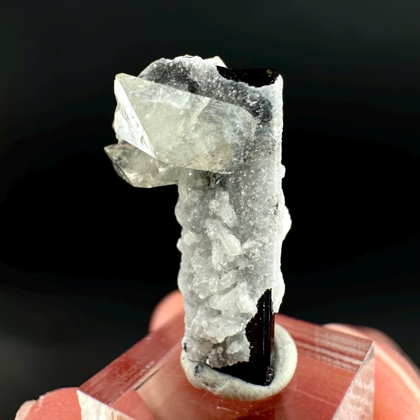 Herderite on Black Tourmaline | light green crystal, rare mineral specimen from Pakistan