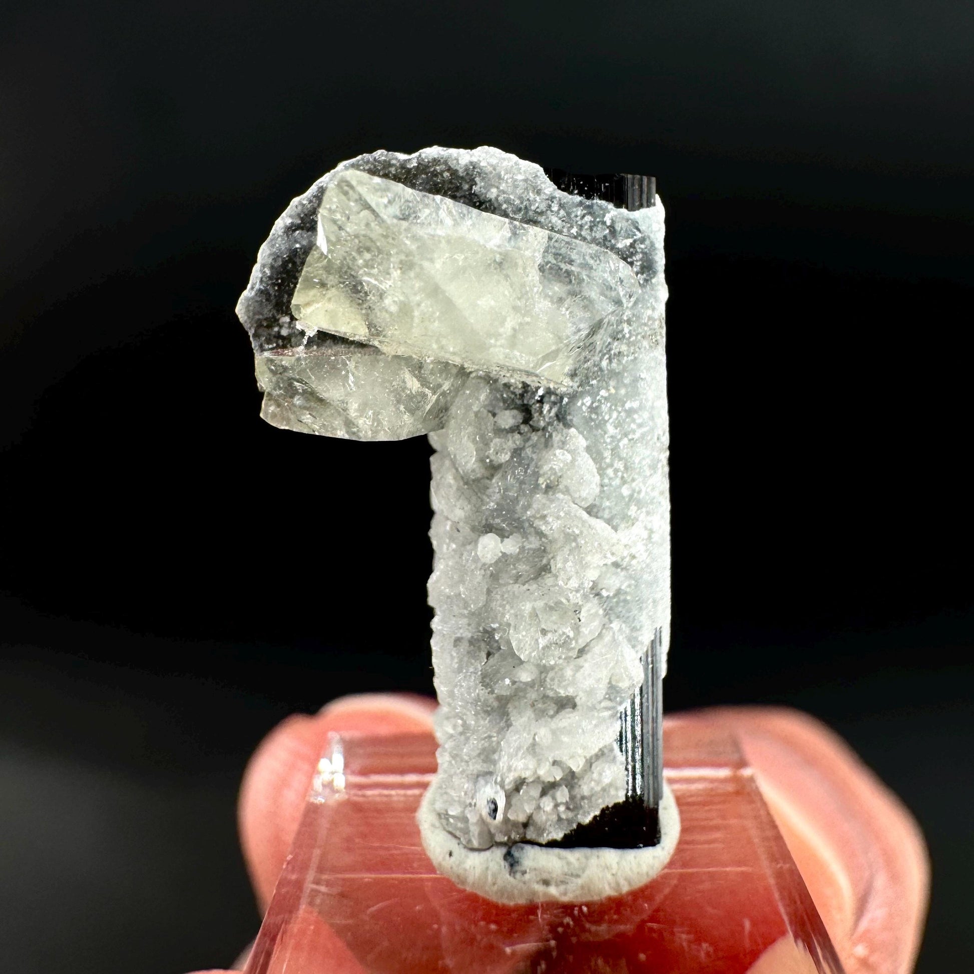 Herderite on Black Tourmaline | light green crystal, rare mineral specimen from Pakistan