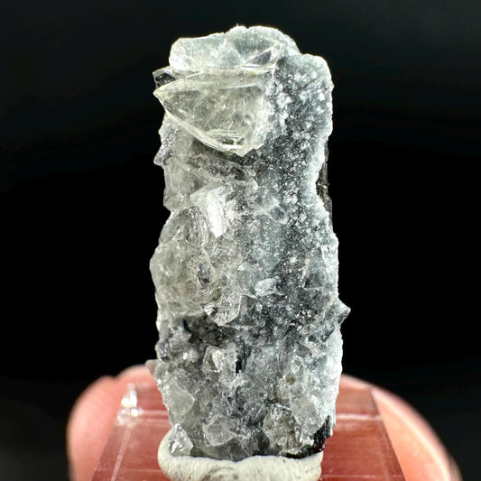 Herderite on Black Tourmaline | light green crystal, rare mineral specimen from Pakistan