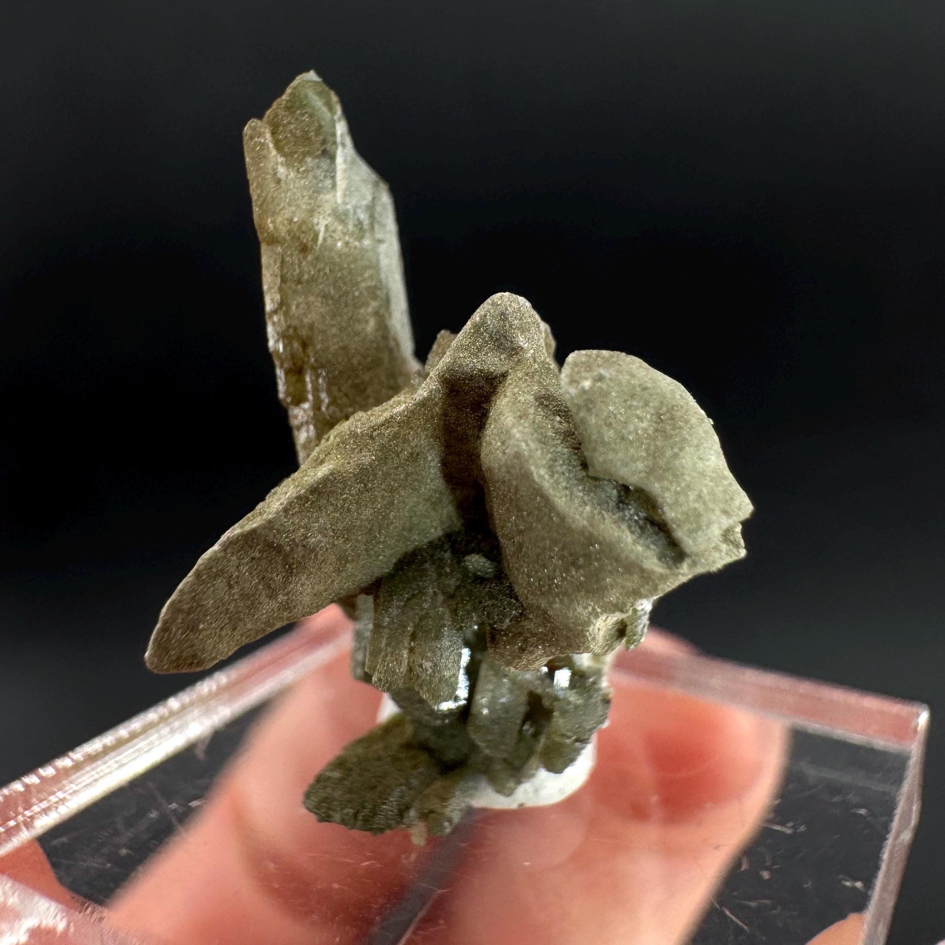 Anatase with Chlorite Quartz | Metallic Crystal, Rare Mineral Specimen from Pakistan