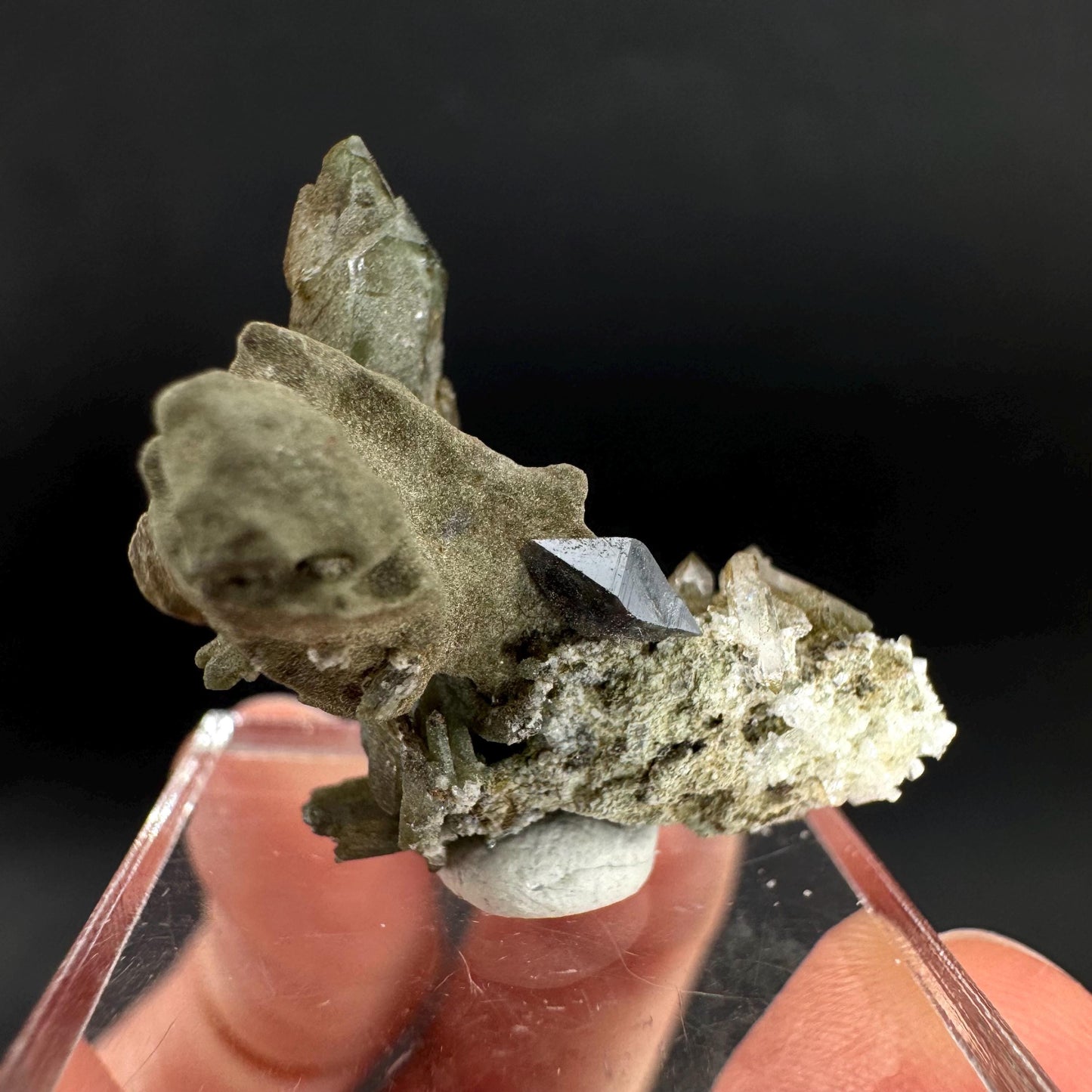 Anatase with Chlorite Quartz | Metallic Crystal, Rare Mineral Specimen from Pakistan