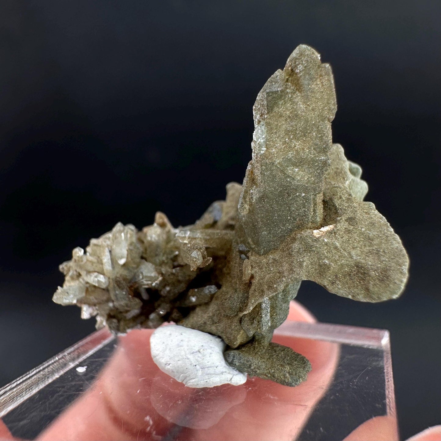 Anatase with Chlorite Quartz | Metallic Crystal, Rare Mineral Specimen from Pakistan