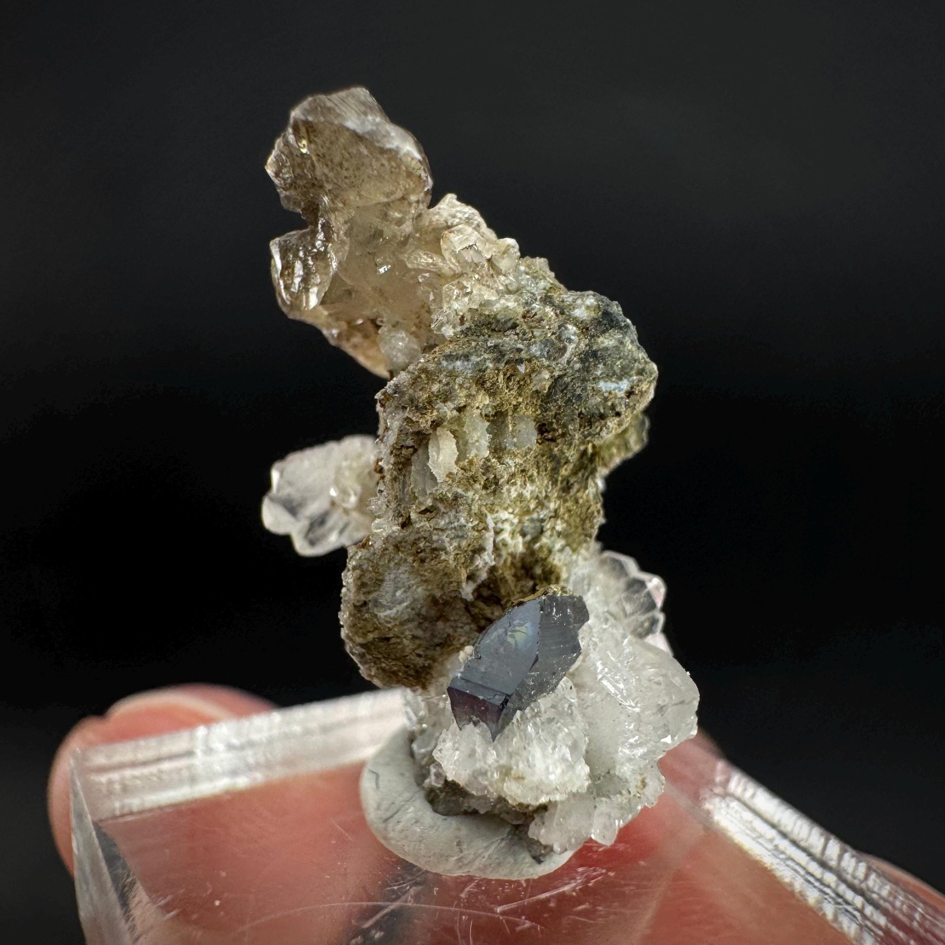 Anatase with Chlorite Quartz | Metallic Crystal, Rare Mineral Specimen from Pakistan