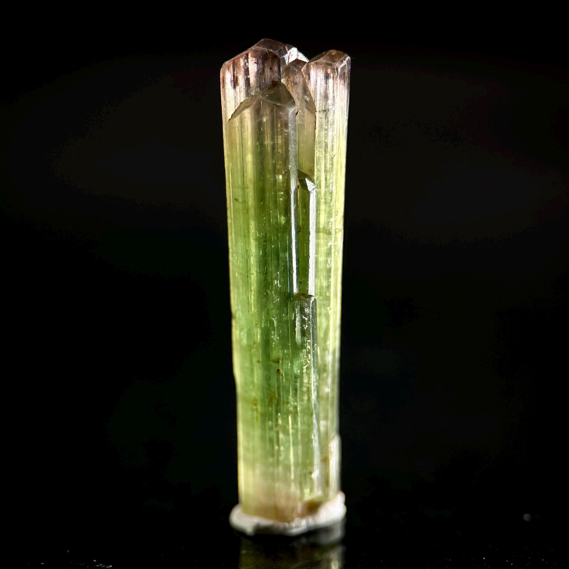 Watermelon Tourmaline | Green & Pink Bi-Color Elbaite Crystal, mineral specimen from Paprok
