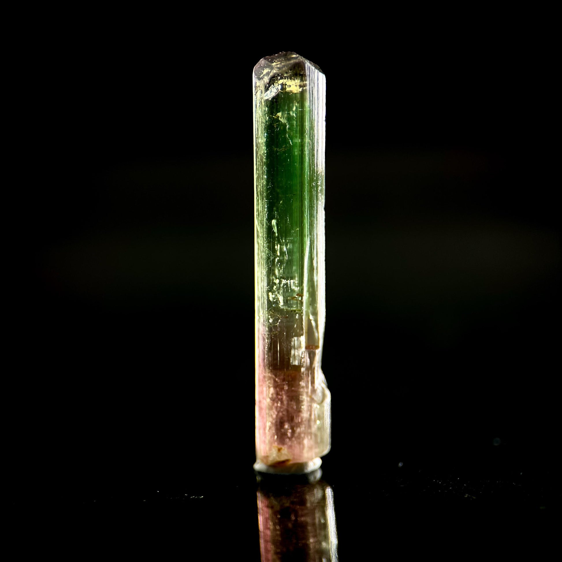 Watermelon Tourmaline | Green & Pink Bi-Color Elbaite Crystal, mineral specimen from Paprok