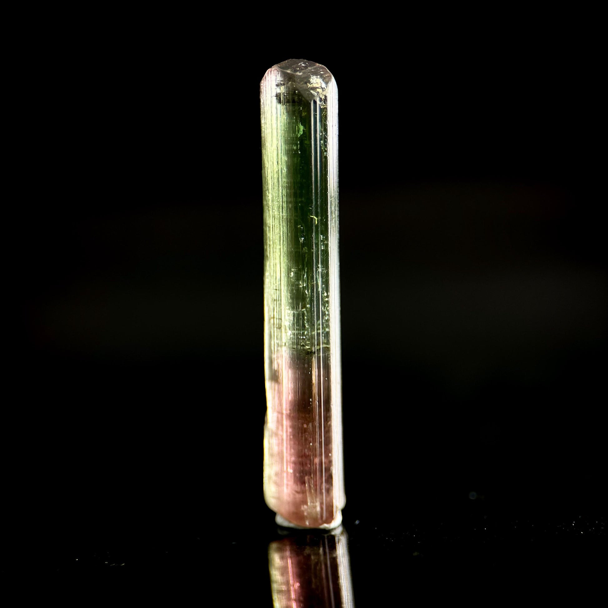 Watermelon Tourmaline | Green & Pink Bi-Color Elbaite Crystal, mineral specimen from Paprok