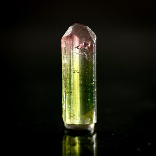 Watermelon Tourmaline | Green & Pink Bi-Color Elbaite Crystal, mineral specimen from Paprok