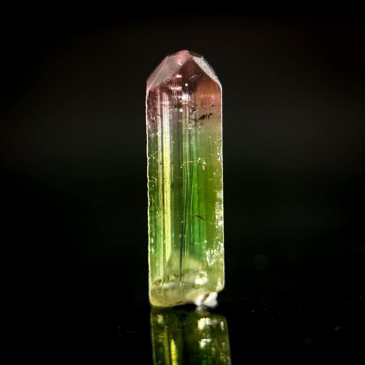 Watermelon Tourmaline | Green & Pink Bi-Color Elbaite Crystal, mineral specimen from Paprok