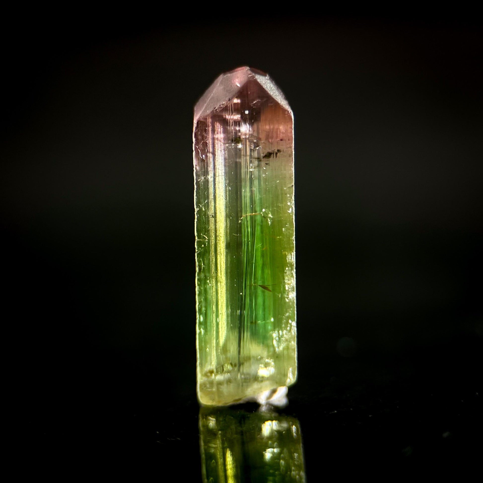 Watermelon Tourmaline | Green & Pink Bi-Color Elbaite Crystal, mineral specimen from Paprok