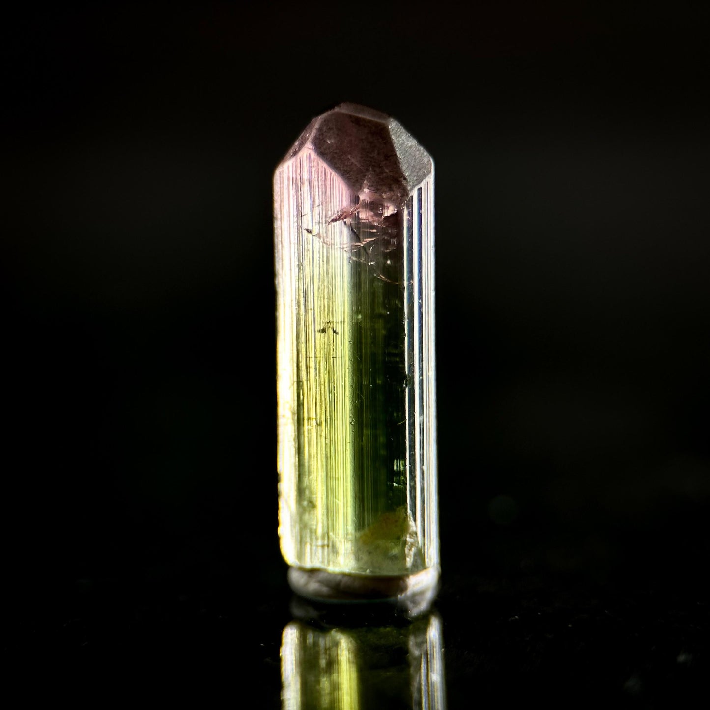 Watermelon Tourmaline | Green & Pink Bi-Color Elbaite Crystal, mineral specimen from Paprok