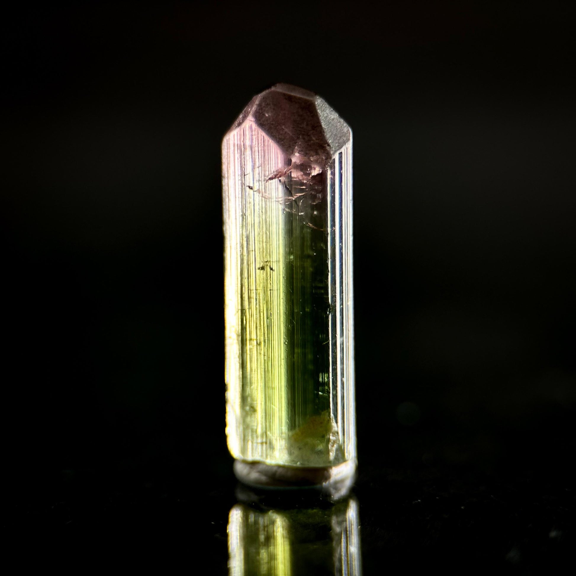 Watermelon Tourmaline | Green & Pink Bi-Color Elbaite Crystal, mineral specimen from Paprok