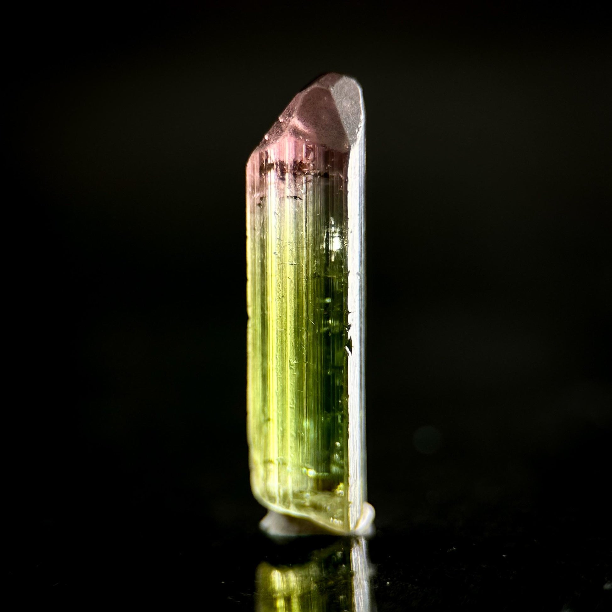 Watermelon Tourmaline | Green & Pink Bi-Color Elbaite Crystal, mineral specimen from Paprok