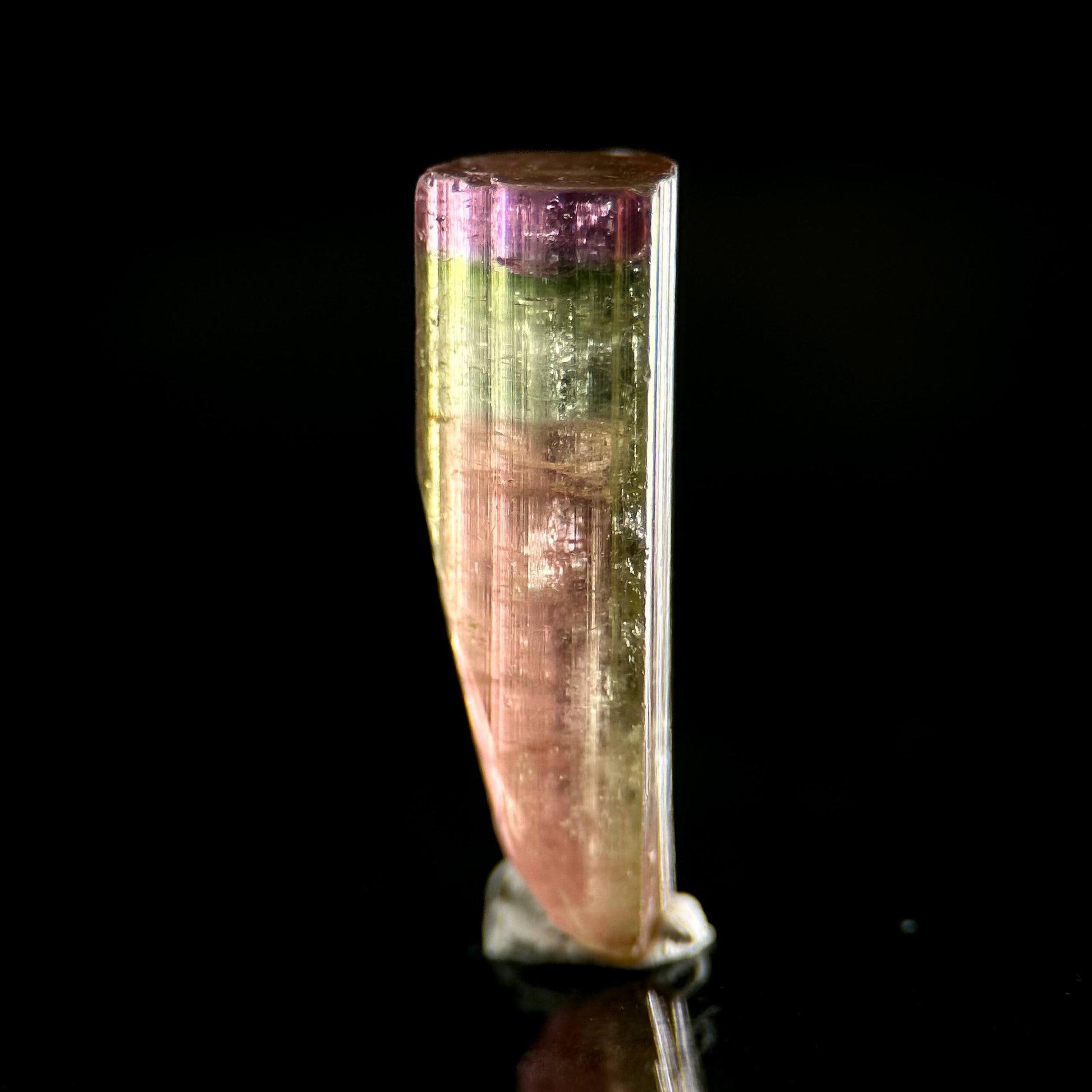 Watermelon Tourmaline | Green & Pink Bi-Color Elbaite Crystal, mineral specimen from Paprok