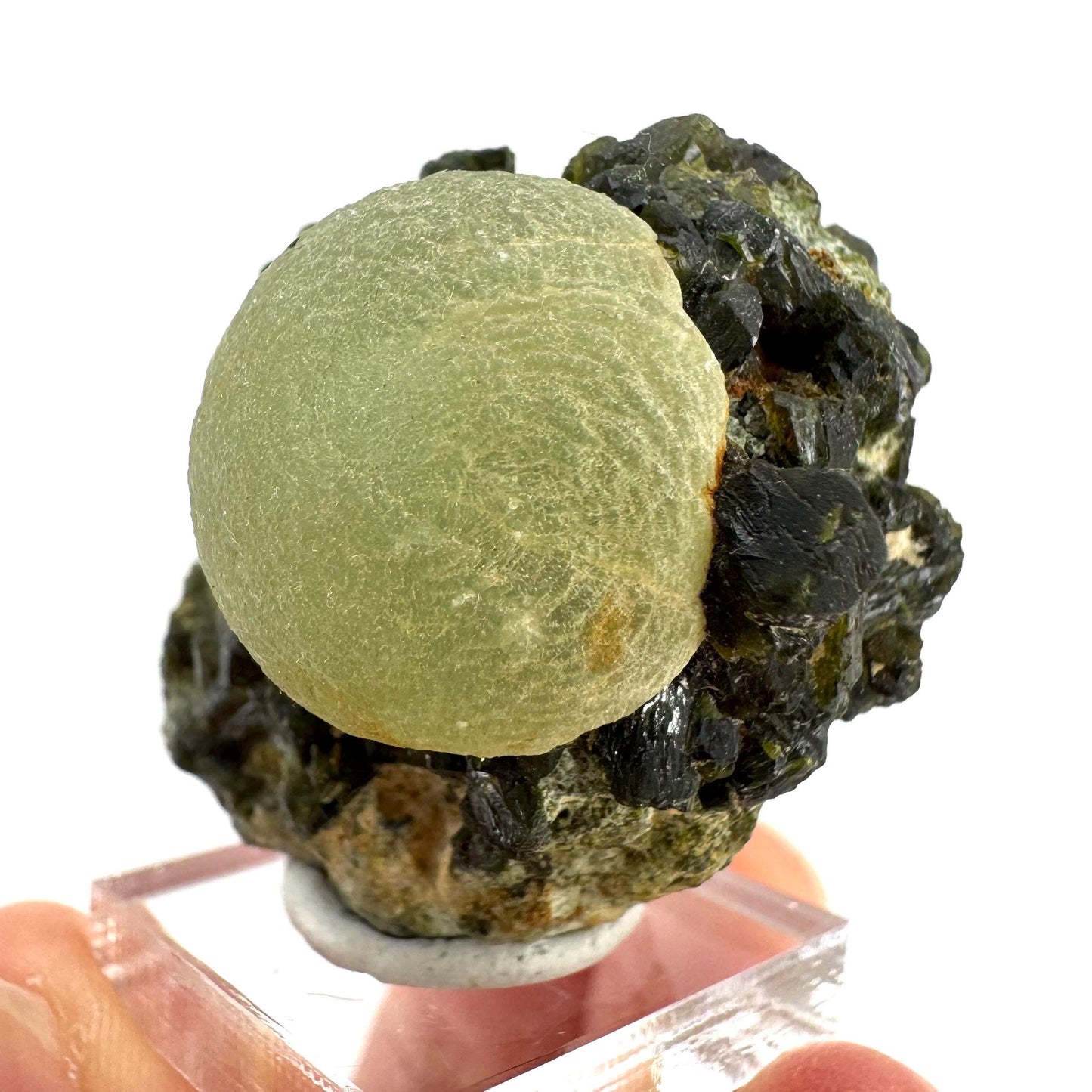 Prehnite with Epidote | Botryoidal green crystal, mineral specimen from Mali