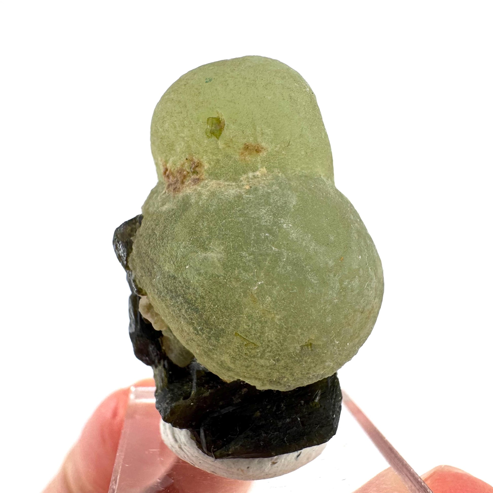 Prehnite with Epidote | Botryoidal green crystal, mineral specimen from Mali
