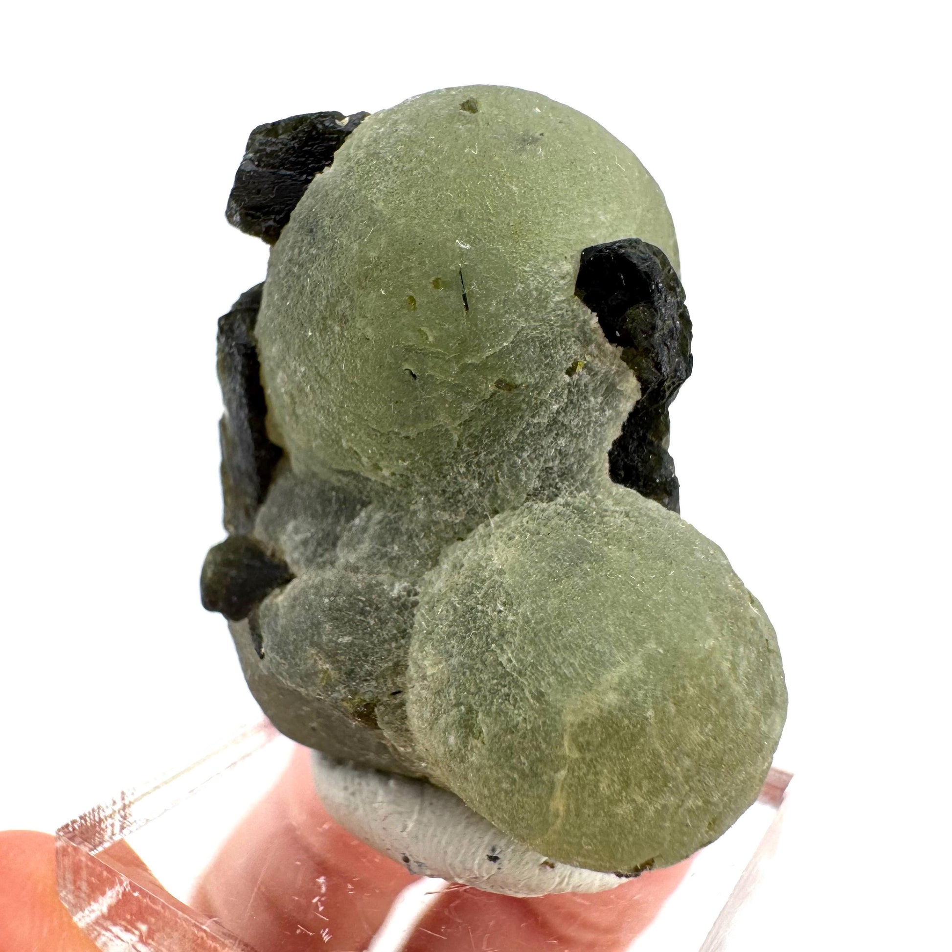 Prehnite with Epidote | Botryoidal green crystal, mineral specimen from Mali