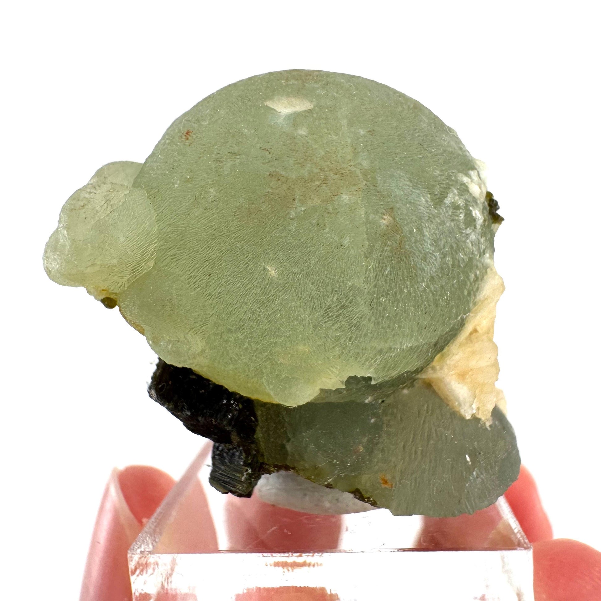 Prehnite with Epidote | Botryoidal green crystal, mineral specimen from Mali